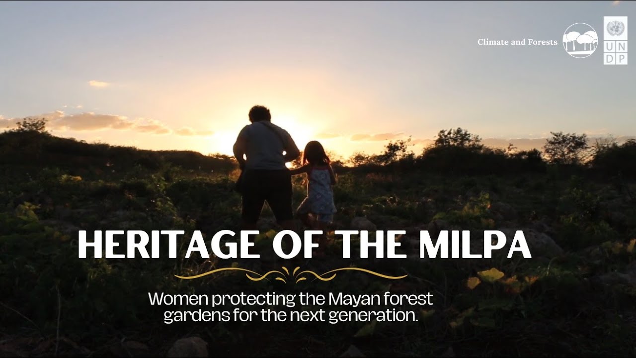 Heritage of the Milpa