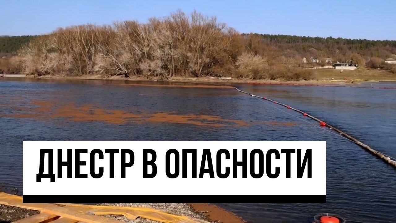 Экологическая угроза на Днестре: Молдова запросила помощь ЕС и привлекла армию