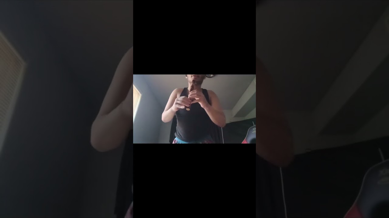 Some songs I made on flute