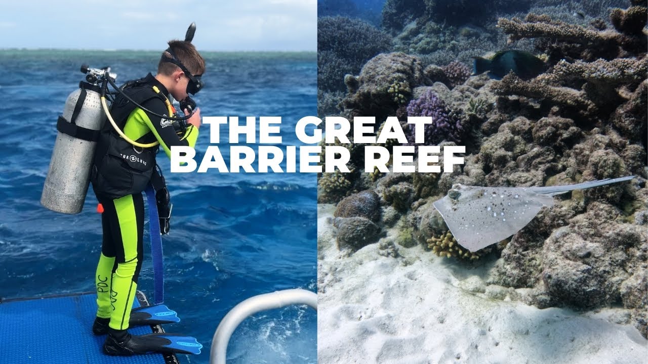 SCUBA DIVING and SNORKELING the GREAT BARRIER REEF on 3 Day Liveaboard From Cairns, Australia