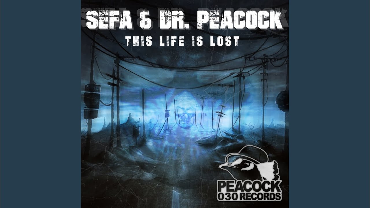 This Life Is Lost (Original Mix)