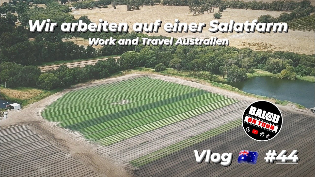 🇦🇺 Arbeiten auf einer Salatfarm - Vlog #44 Balou on Tour - Work and Travel Australien 2022/2023