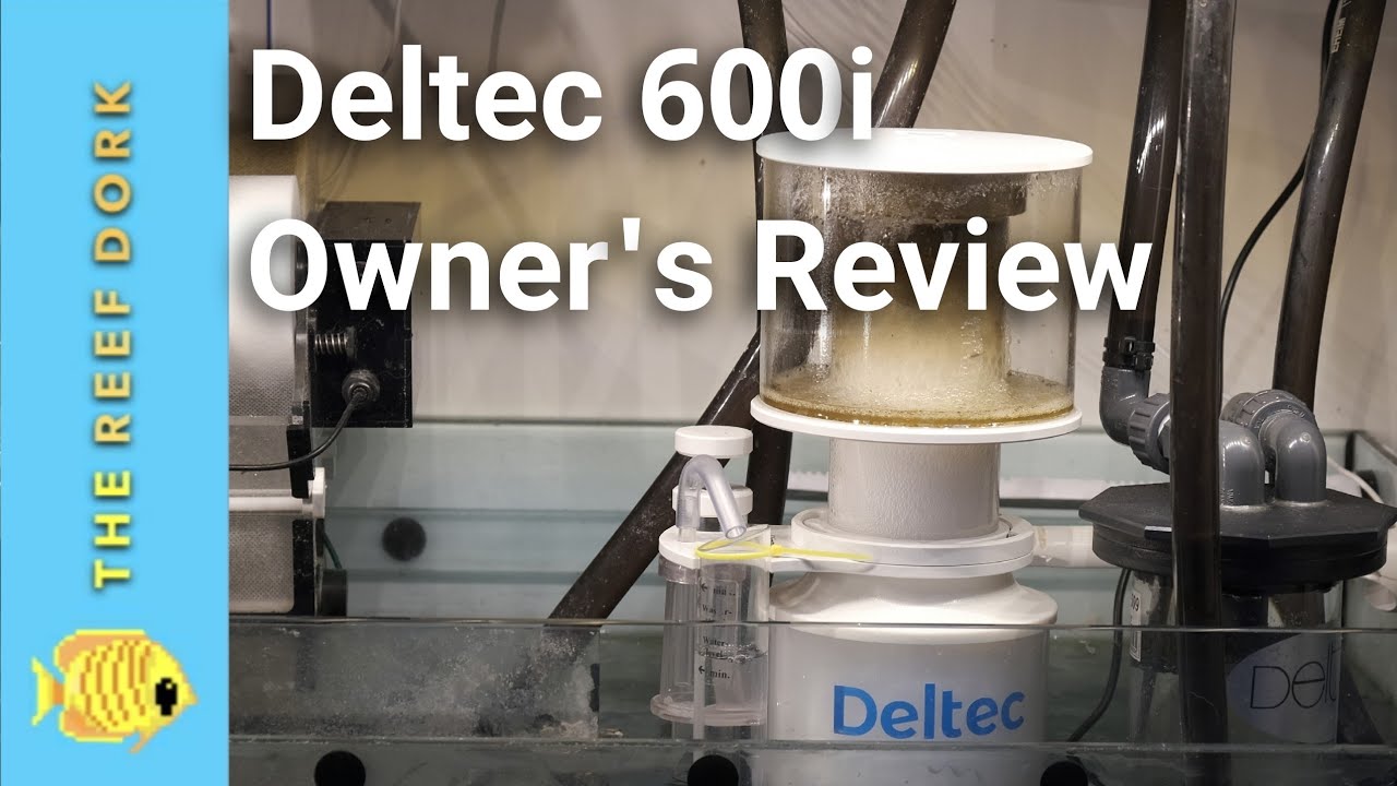 Deltec 600i Skimmer First Impressions