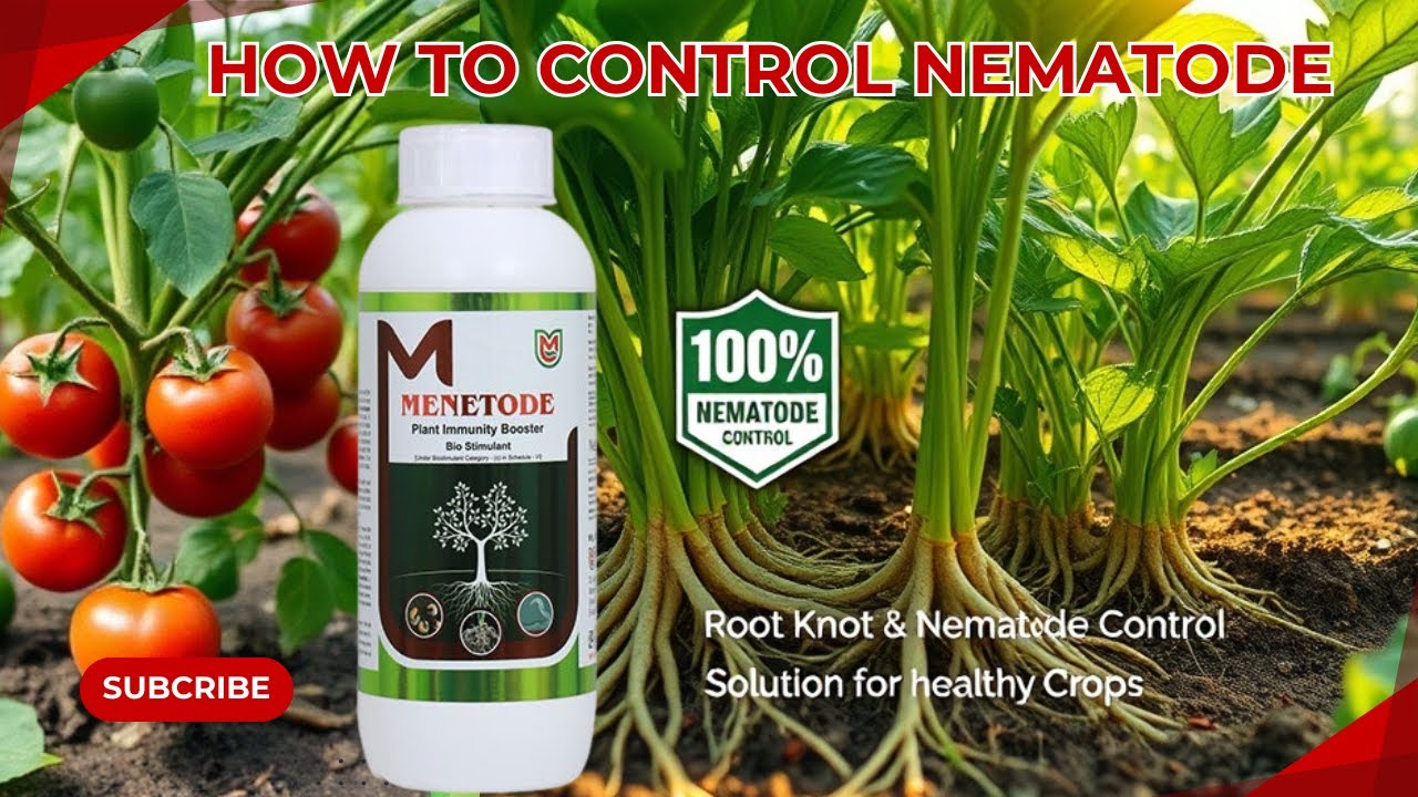Nemetode Control | अपनी फसलों को बचाएं Nematode से | सुक्राकृत सूत्रक्रुमि से तत्काल बचाव के लिए