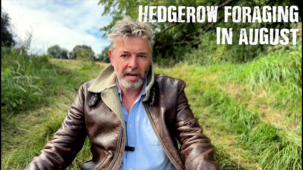 HEDGEROW FORAGING - LATE AUGUST