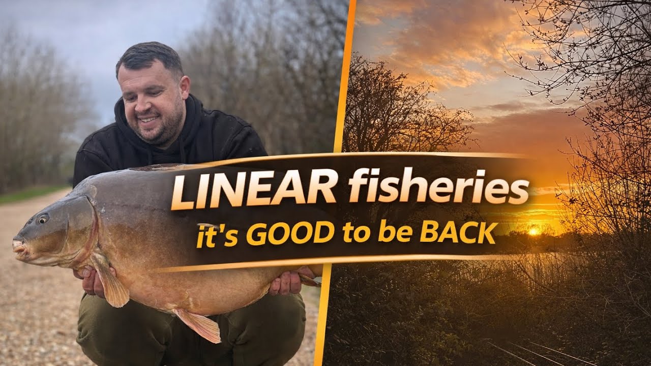 Мой прогноз оказался неверным на водоеме LINEAR Fisheries, где весной ловили КРУПНЫХ карпов!