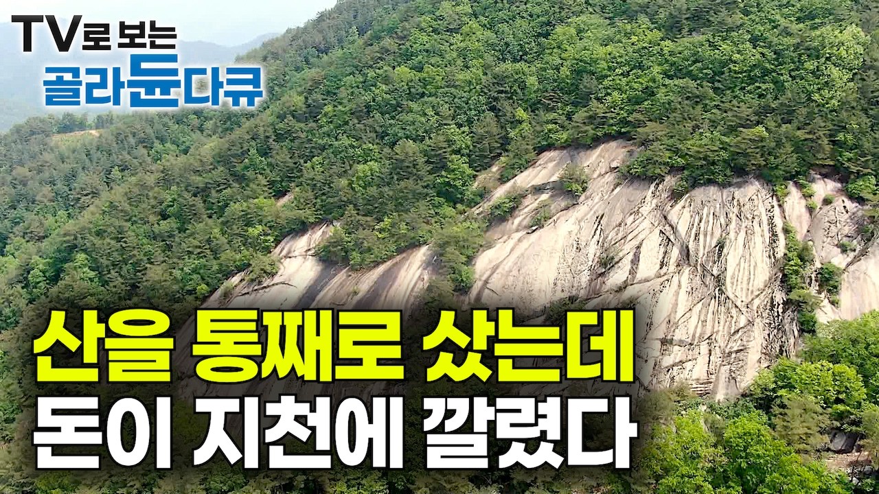 ✨알고 보니 보물산이었다! 우연히 발견한 산이 운명처럼 매물로 나오자 홀린듯 통째로 샀더니 인생이 바뀐 남자｜푸른 봄을 지나 반짝이는 여름을 향하여｜몰아보는｜한국기행｜#골라듄다큐