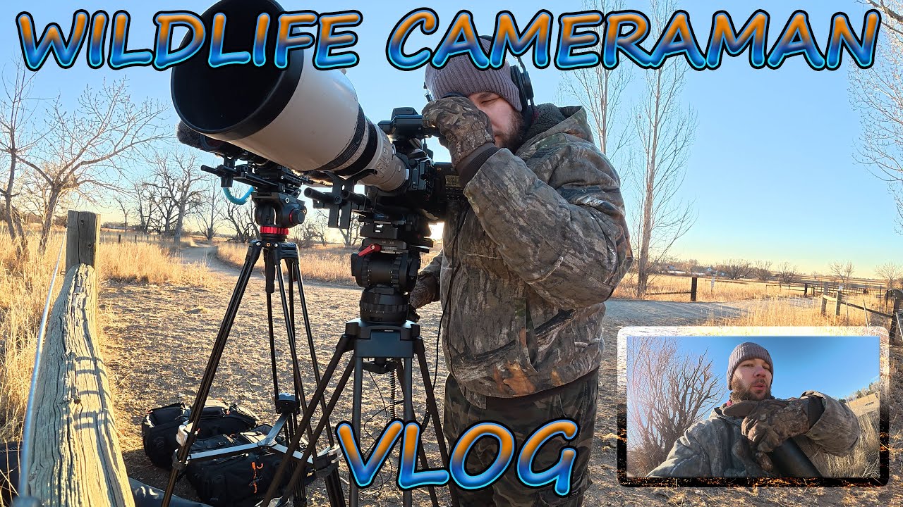 Back to Bird-watching with the Big Cameras