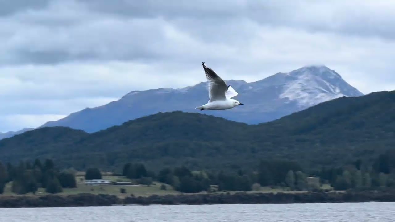 Lake Te Anau NZ | Scenic Views & Watching Seaplanes Take Off