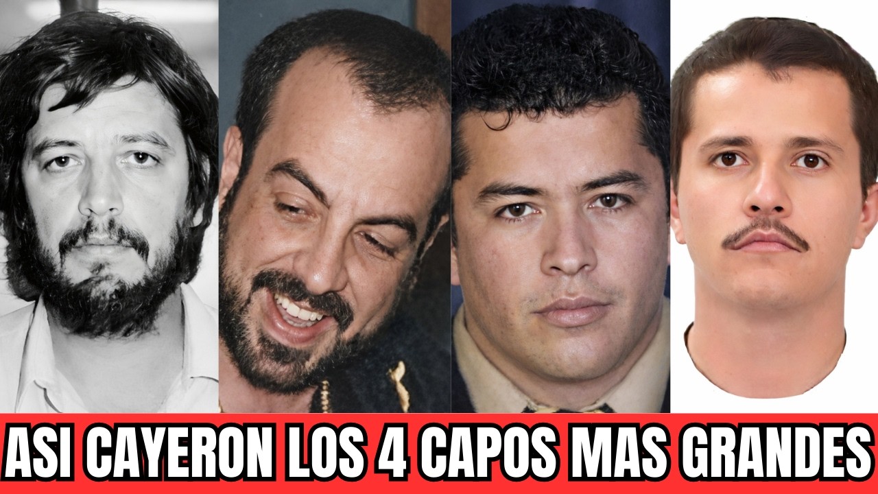 “LOS CAPOS más PODEROSOS: su inicio, su imperio y el error que los hizo CAER” A QUI TE LO CONTAMOS..