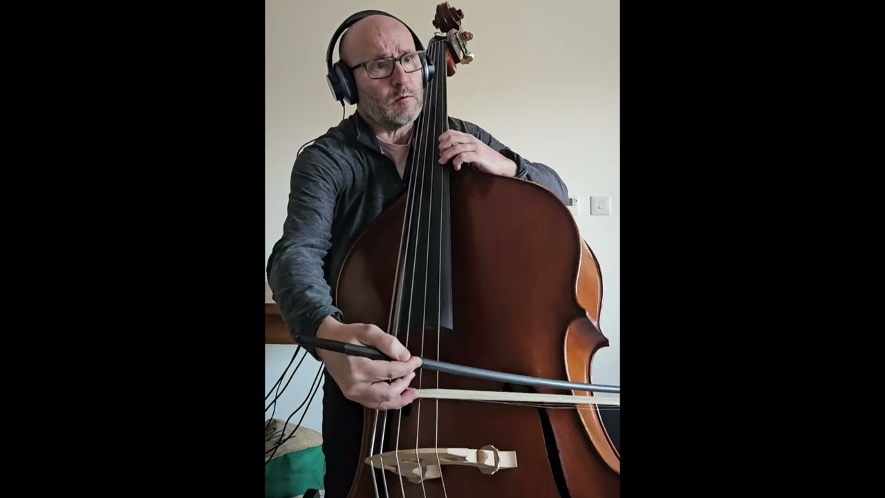 The Swan, Camille Saint Saens : double bass and piano
