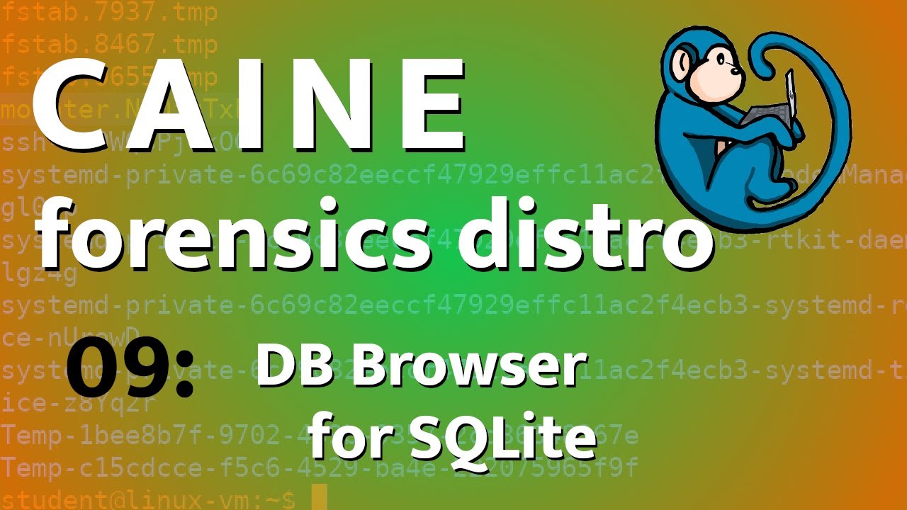 CAINE - 09 - Браузер баз данных для SQLite