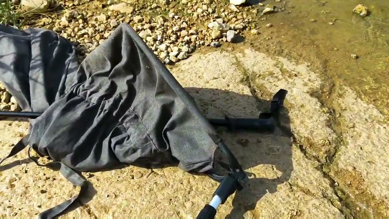 ואז הצפע החליט שהוא יוצא לשחות.