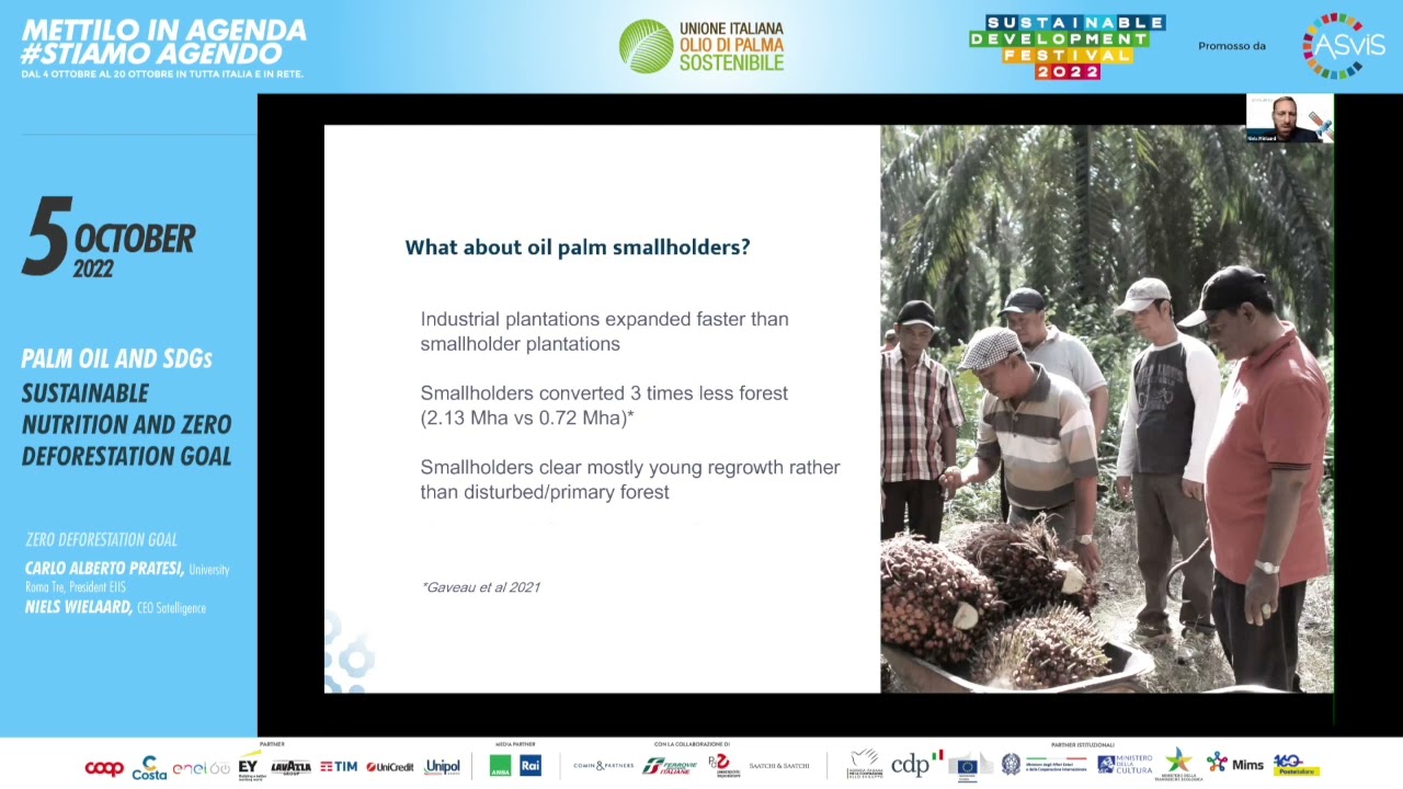 NIELS WIELAARD, SATELLIGENCE - Palm Oil and SDGs: Sustainable Nutrition and Zero Deforestation Goal