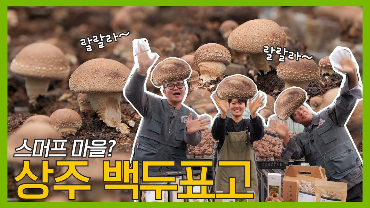 백두표고버섯 운동 많이 된다~🍄‍🟫 자기전에 생각날꺼야~ | 사이소 EP.12