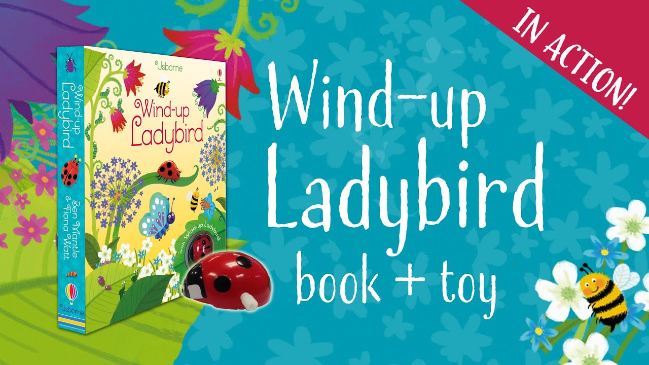 The Usborne Wind-up Ladybird Book