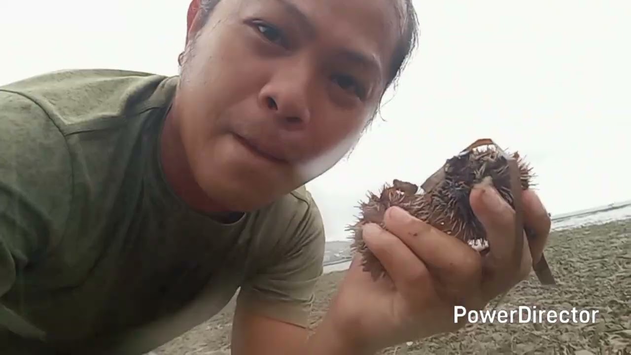 FIRST PANGINHAS SA 2026, DAGKU UNOD ANG SAWAKI, LATE UPLOAD, #viral #youtube