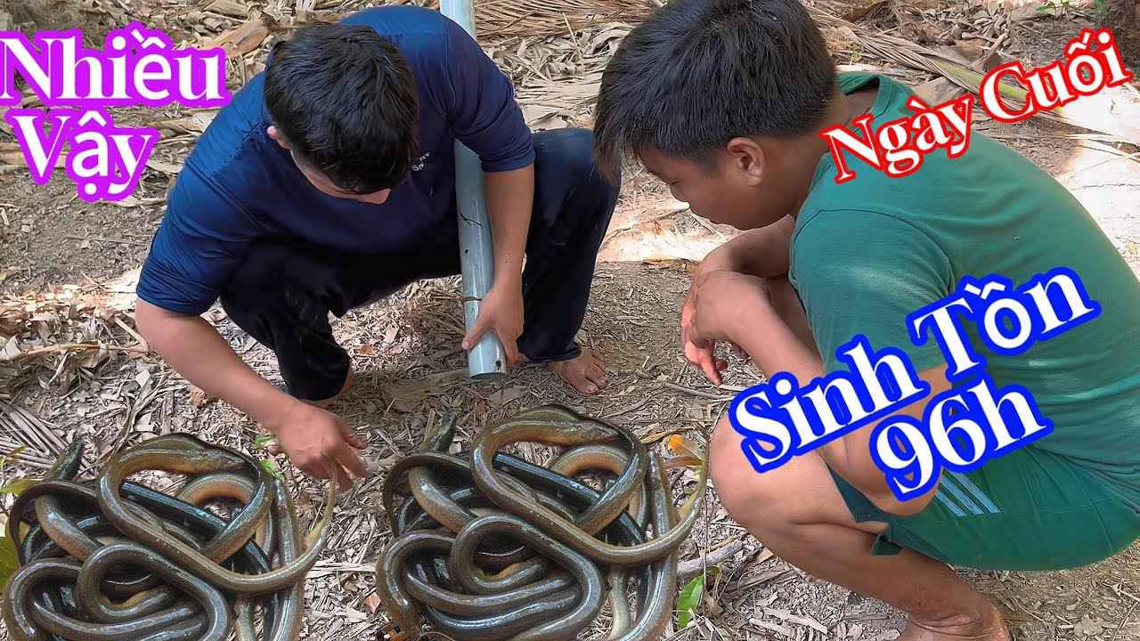 Ngày cuối | Sinh Tồn 96h Đại Tiệc Chia Tay Khu Vườn Và Căn Biệt Phủ Đắc Giá |KDD survival #kd