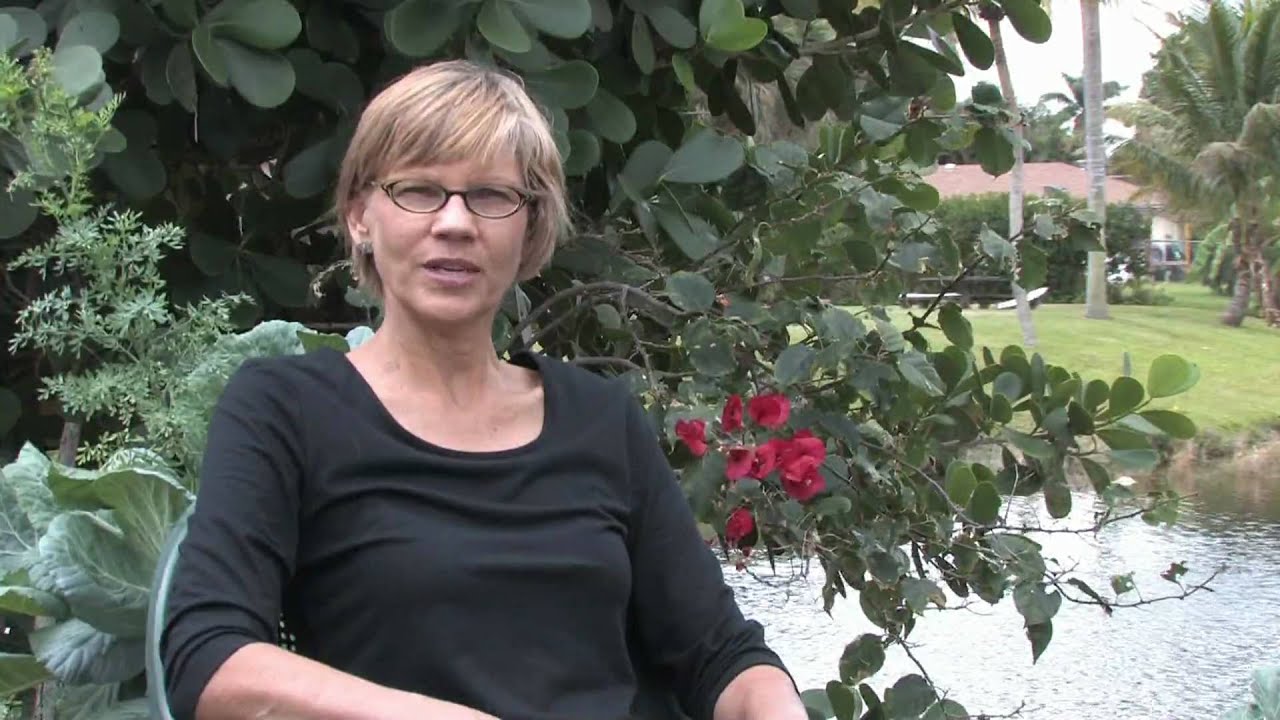 Колибри: как размножаются колибри?