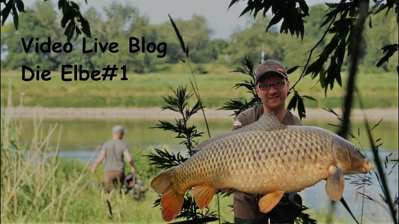 Video Live Blog Die Elbe#1