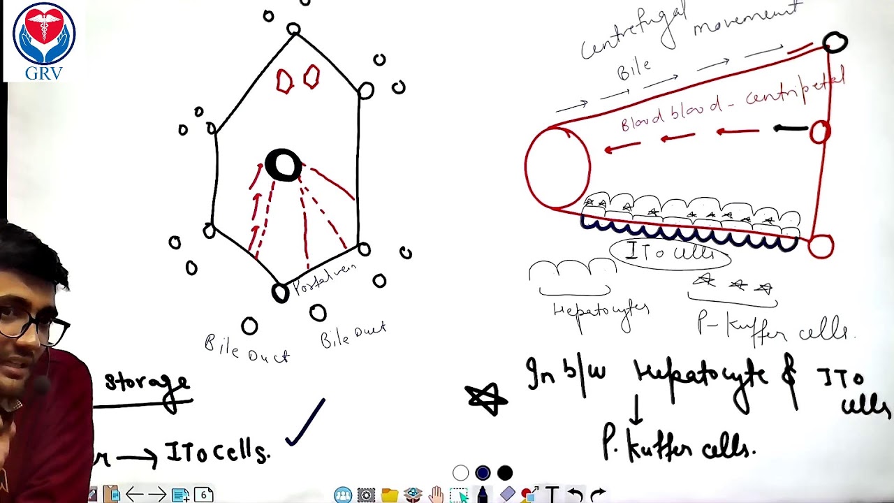 HSSC/DMER TARGET BATCH GI SYSTEM INTRODUCTION WITH ORAL CAVITY