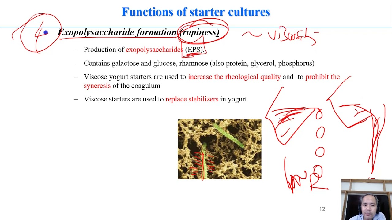 C7-02a starter cultures and their functions| fermented milks| Dairy technology