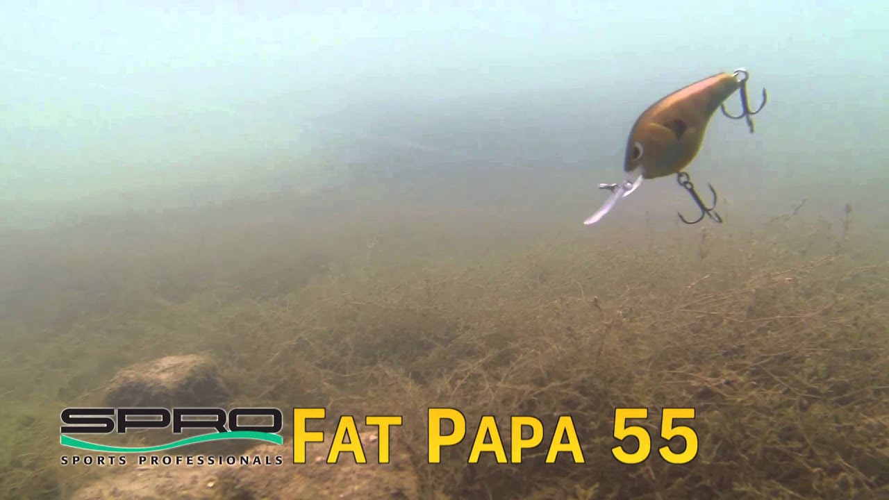 SPRO Fishing Videos