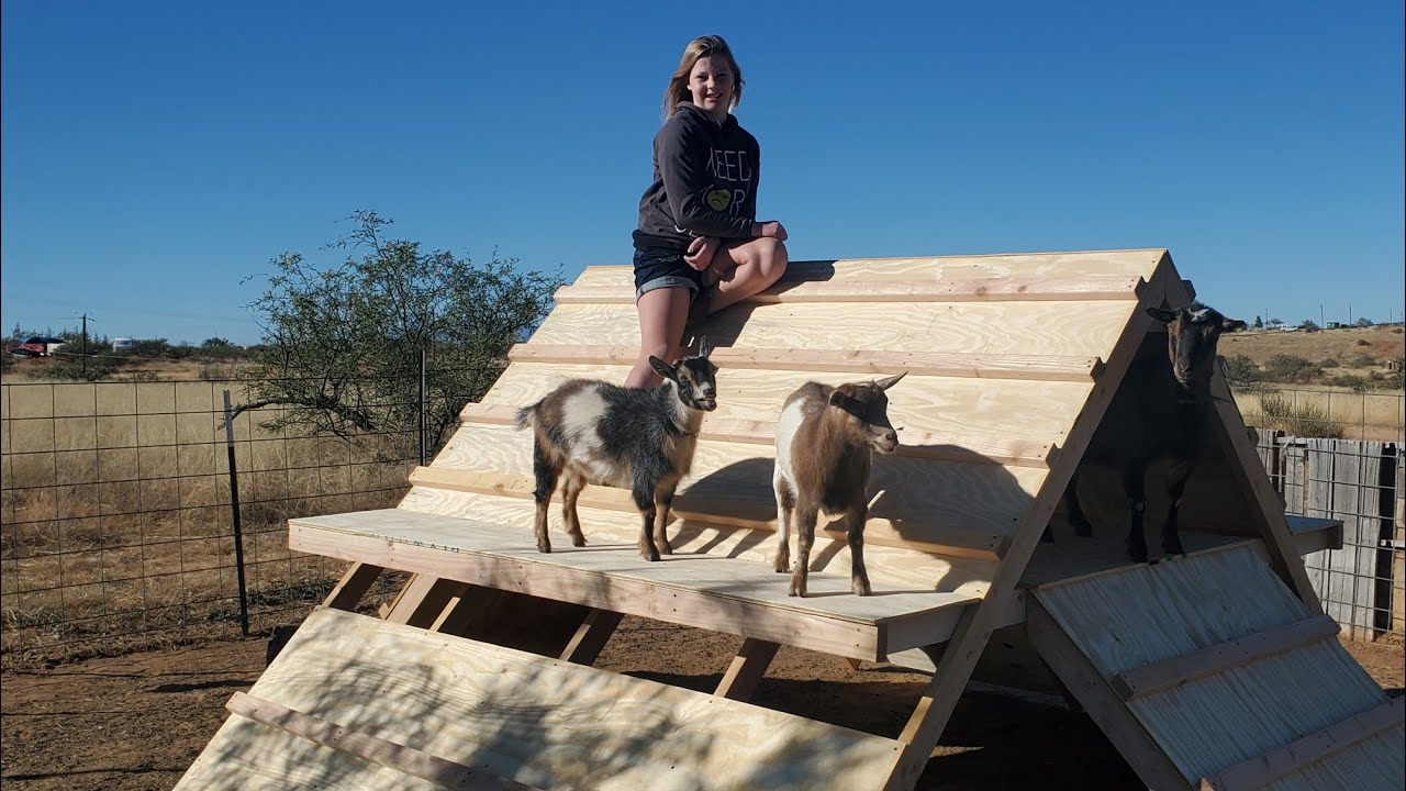 How To Build The A Frame Goat Playhouse! Step by Step, DIY -/\-