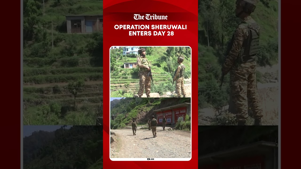 Operation Sheruwali Enters Day 28 As Security Forces Intensify Search Operations In J&K