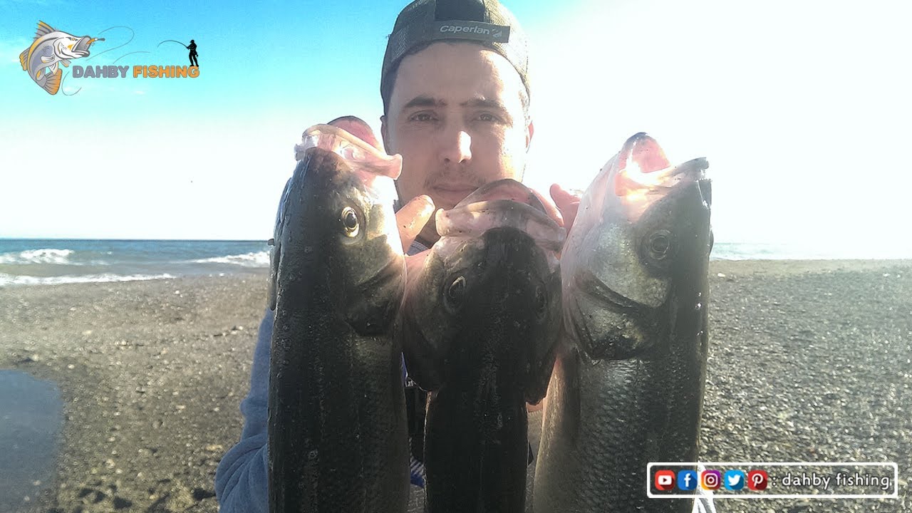 عيشوا معنا متعة الفراجة علي الدرعي أو القاروص علي المباشر بالطعم الصناعي GOLDEN MINNOW 145F 2020