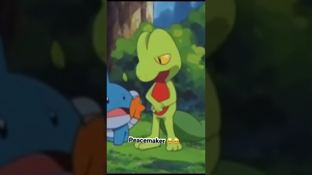 Mudkip made peace with Treecko and Corphish
