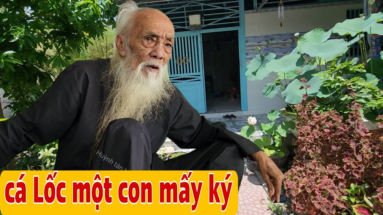Thầy Rắn Ông Tư Đền Kể Chuyện Bắt Chim Cò Năm Xưa Quá Nhiều Giờ Không Còn Nữa 