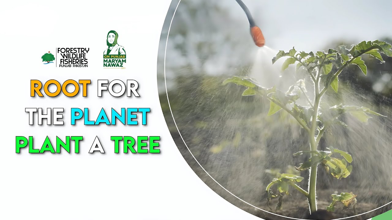 Spring Tree Plantation Campaign 2025 | Plant Trees, Breathe Easy | FW&F, Punjab