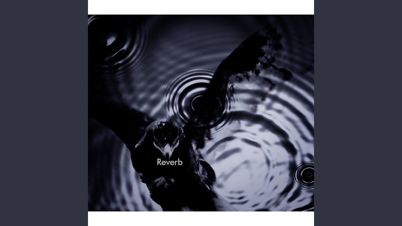 Reverb