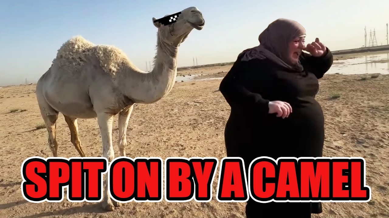 Foodie Beauty Gets Spit on by a Camel TWICE, Falls Down the Stairs!