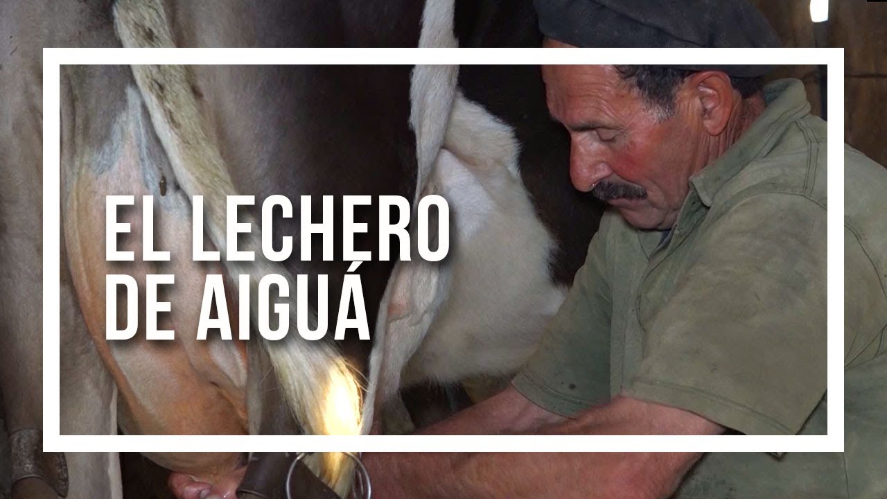 El Lechero de Aiguá programa Contacto