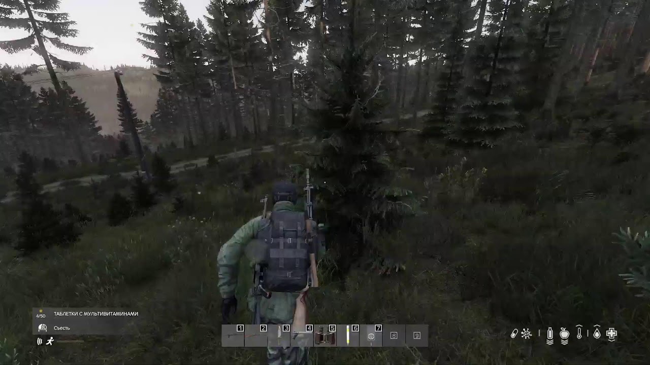 DayZ вышивание