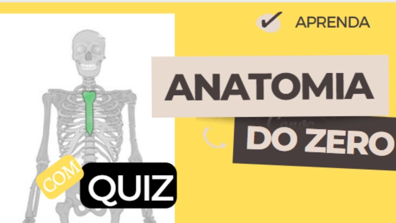 Anatomia (do Zero) para iniciantes. COM QUIZ PRÀTICO. #ossos