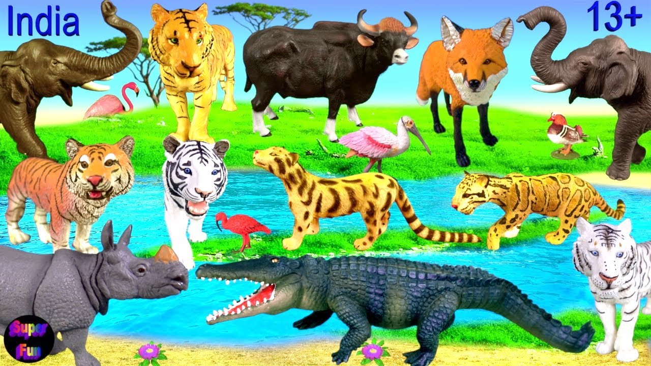 Djur - bengalisk tiger, leopard, nosh&ouml;rning, elefant, gaur, krokodil, r&auml;v 13+