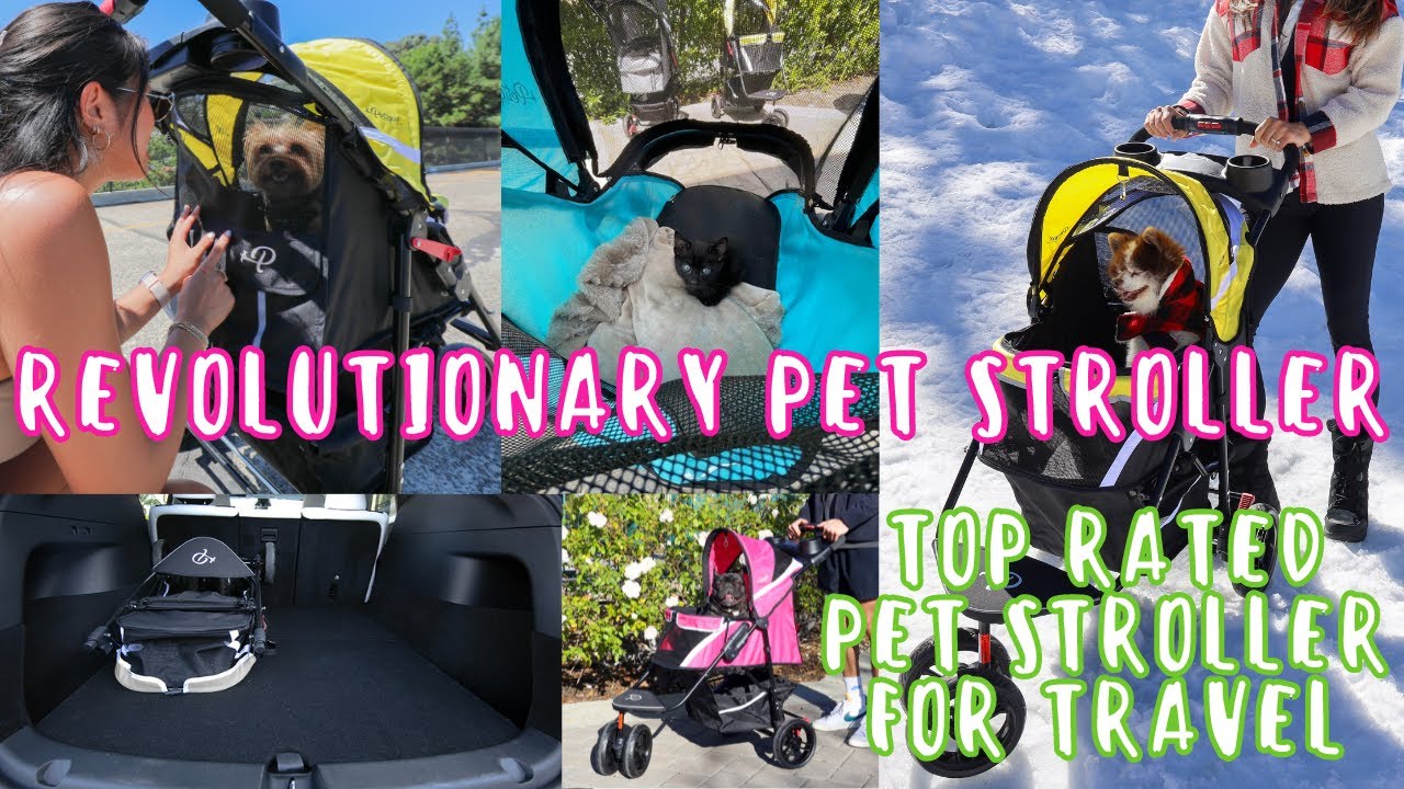 Top Rated Pet Stroller For Travel 2024 | Lightweight & Durable | Petique Revolutionary Pet Stroller