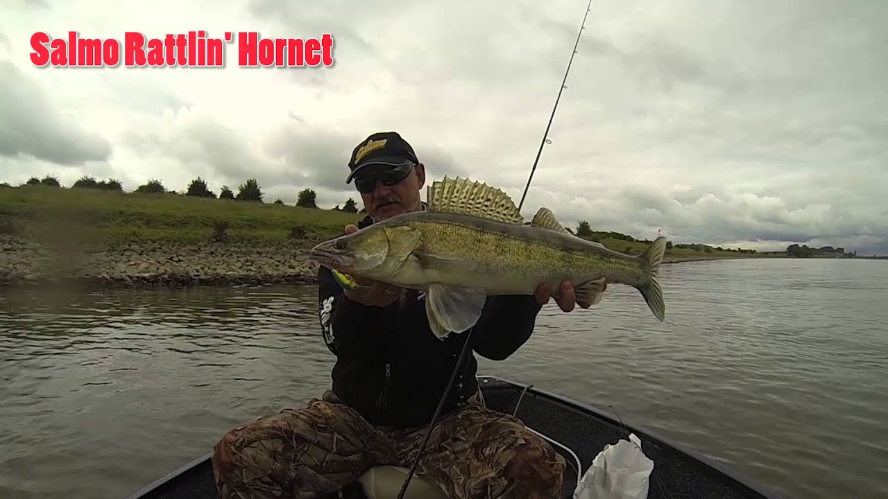 Salmo Rattlin Hornet