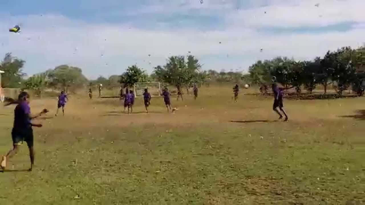 Bayulu School Grasshopper Invasion!