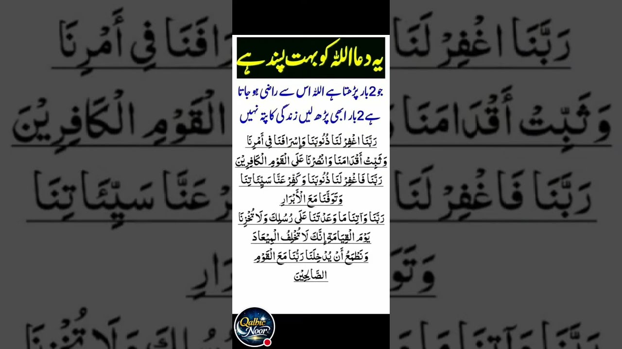 Qalbic Noor is live!