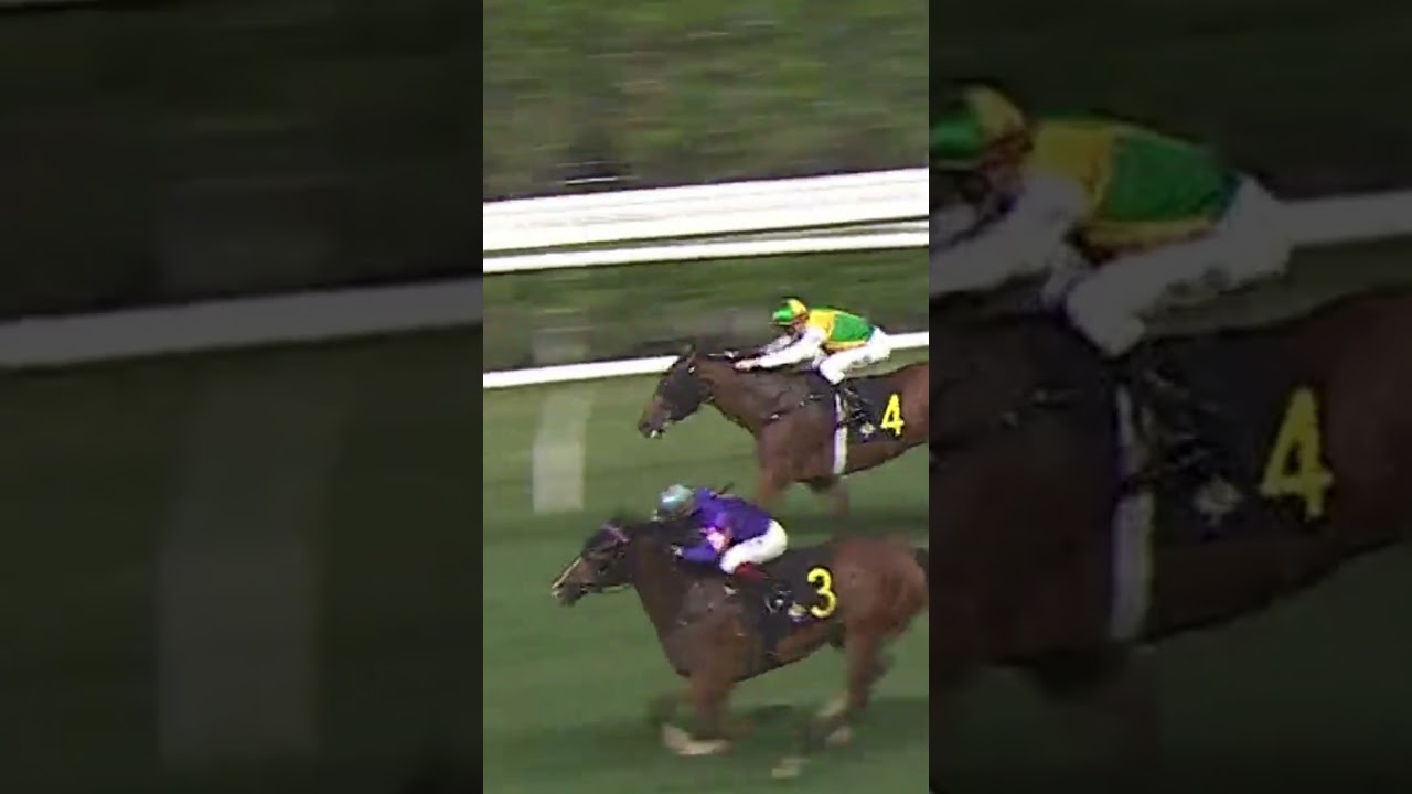 3 SPICY GOLD   A  Badel #ABadel #AlexisBadel #Badel #Racing #Sport #Shorts #賽馬短片