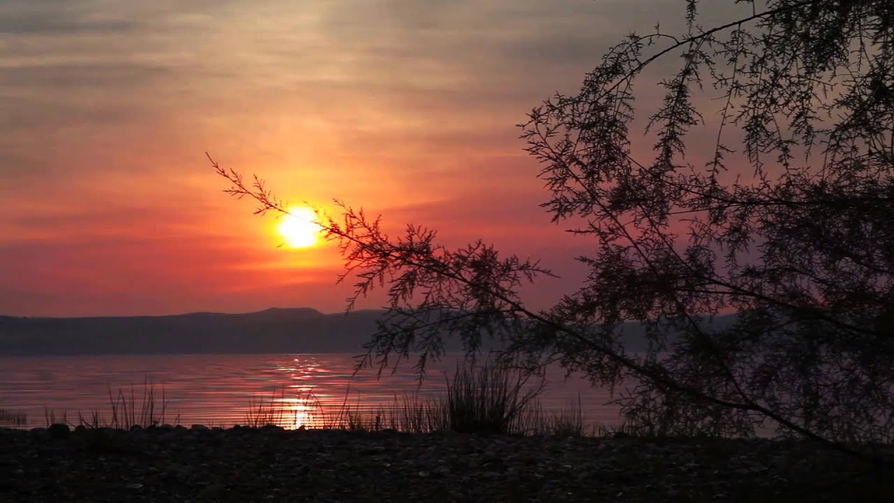 3 Hours of Relaxing Piano, Cello & Flute Music | Beautiful Nature Videos