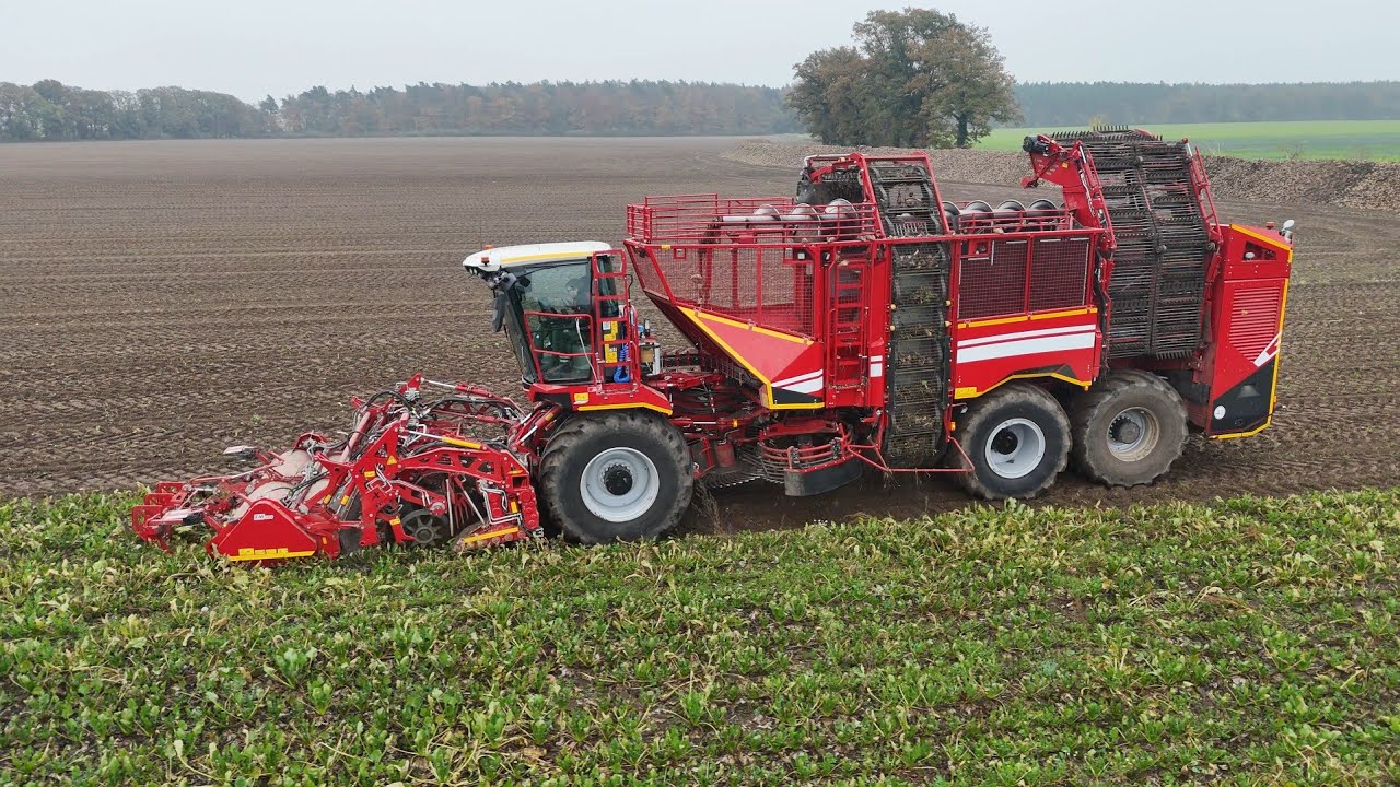 GRIMME REXOR 6300 am Rüben roden / DEHR AGRARSERVICE / 4K