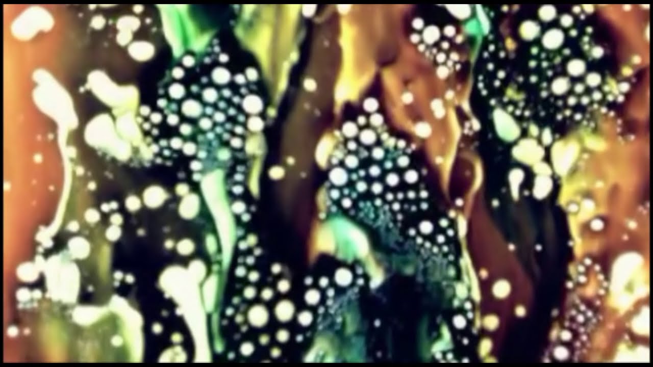 Marissa Nadler - Firecrackers (Official Video)