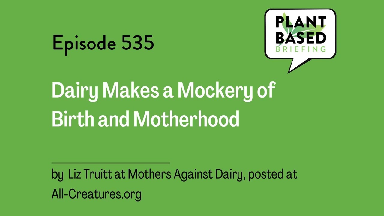 535: Dairy Makes a Mockery of Birth and Motherhood by Liz Truitt at Mothers Against Dairy,...