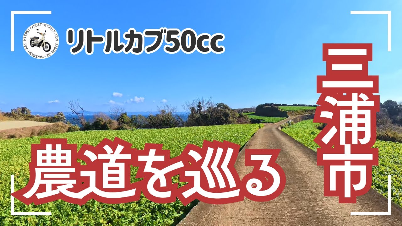 50ccリトルカブで三浦の農道巡り〜砲台・灯台・ループ橋まで楽しめる！【vlog-5】