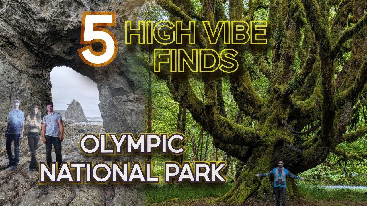 Hidden Gems of Olympic National Park You Need to See